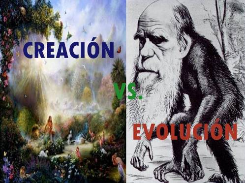 creacion vs evolucion