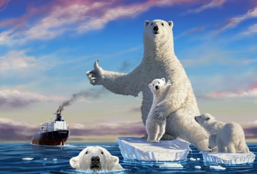 oso polar y barco