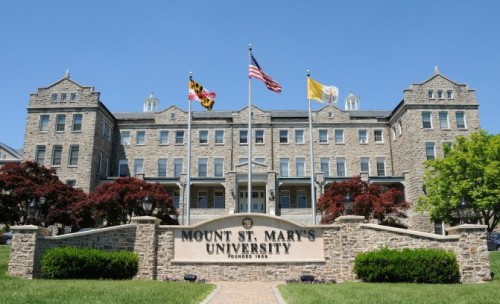 mount st mary schoolof business