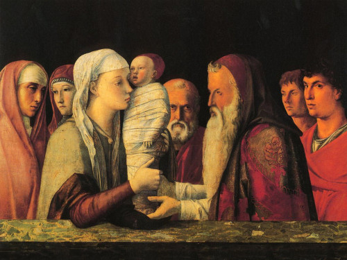 Bellini purificacion de maria