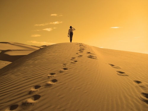 caminante desierto