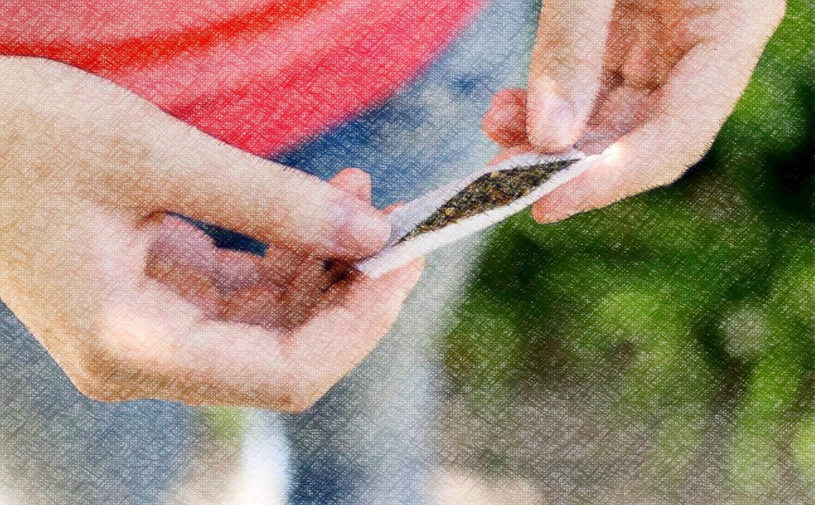 Por qué Sólo la Voracidad Económica Justifica la Legalización del Consumo de Marihuana
