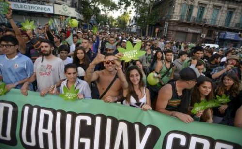 manifestacion marihuana uruguay