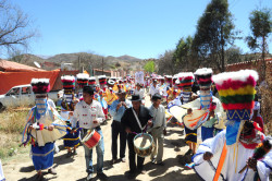 Virgen de Chaguaya apareció en la Copa de un Árbol Bolivia 15 ago