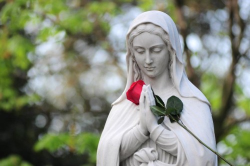 estatua de maria con una rosa