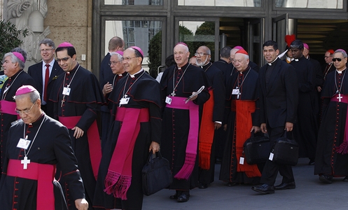 cardenales y opispos del sinodo de la familia