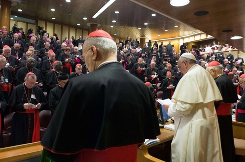 papa con sinodo de obispos