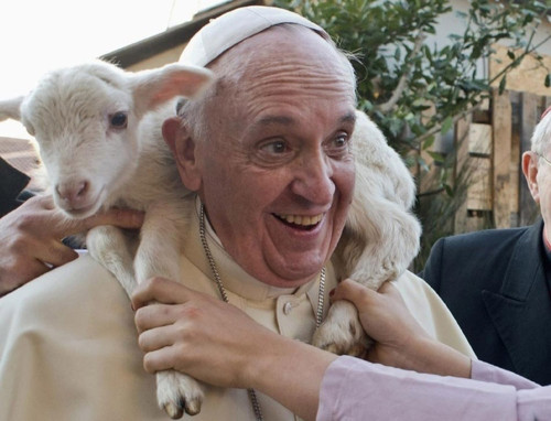 papa francisco y una oveja