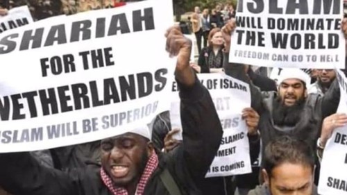 sharia for netherlands