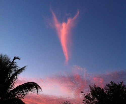 nube en forma de angel