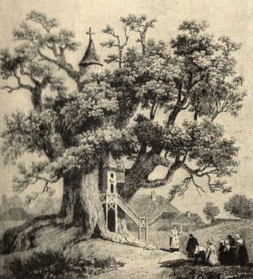 Grabado del árbol iglesia del siglo XVIII