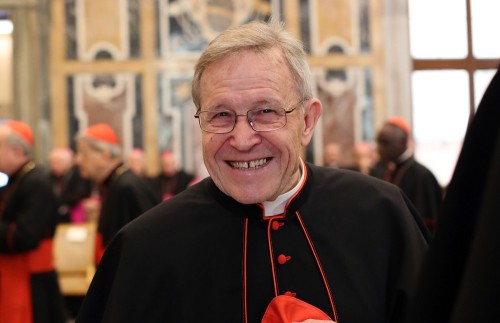 Cardenal Walter Kasper