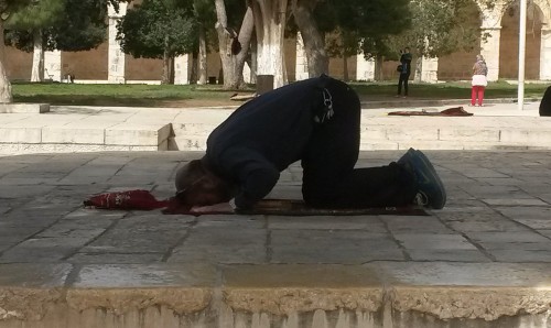 musulman orando en solitario