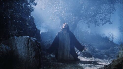 ¡Las Profecías del Huerto de Getsemaní! Qué vio Jesús sobre el Futuro de la Humanidad