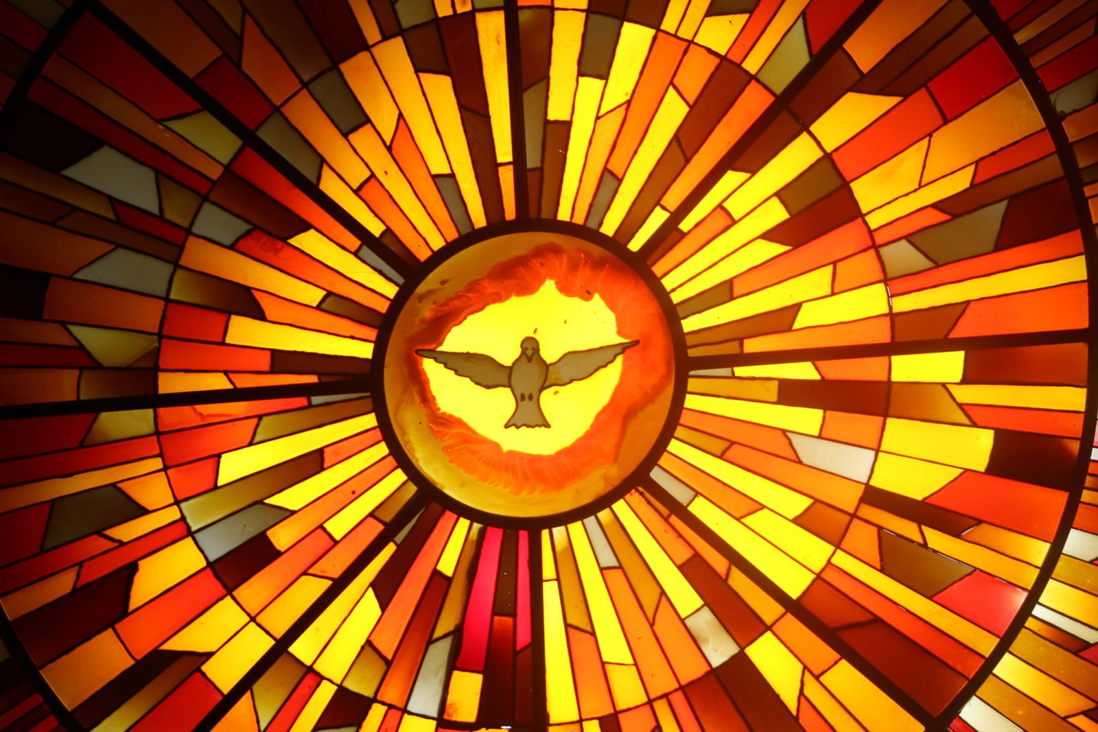 Cómo obtener la Gracia que el Espíritu Santo nos muestre Nuestros Pecados Antes del Aviso